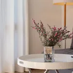 בית נופש El Suizo *