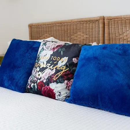 El Suizo トッサ・デ・マール